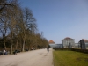 Frühling 008