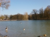 Frühling 011