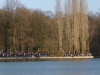 Frühling 012