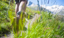 Ellbacher Moor Runde, Bad Tölz